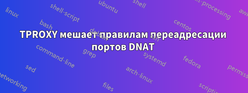 TPROXY мешает правилам переадресации портов DNAT