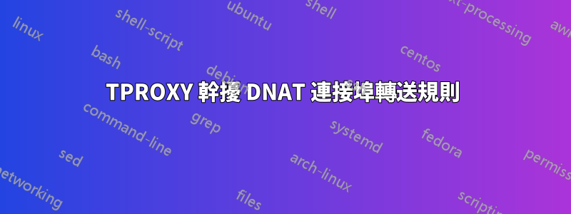 TPROXY 幹擾 DNAT 連接埠轉送規則