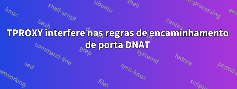TPROXY interfere nas regras de encaminhamento de porta DNAT