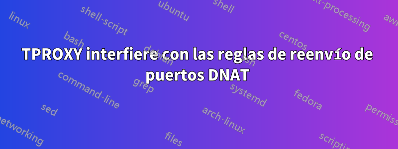 TPROXY interfiere con las reglas de reenvío de puertos DNAT