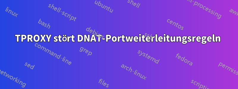 TPROXY stört DNAT-Portweiterleitungsregeln