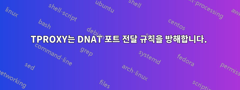 TPROXY는 DNAT 포트 전달 규칙을 방해합니다.