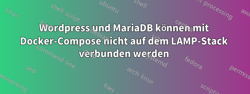 Wordpress und MariaDB können mit Docker-Compose nicht auf dem LAMP-Stack verbunden werden