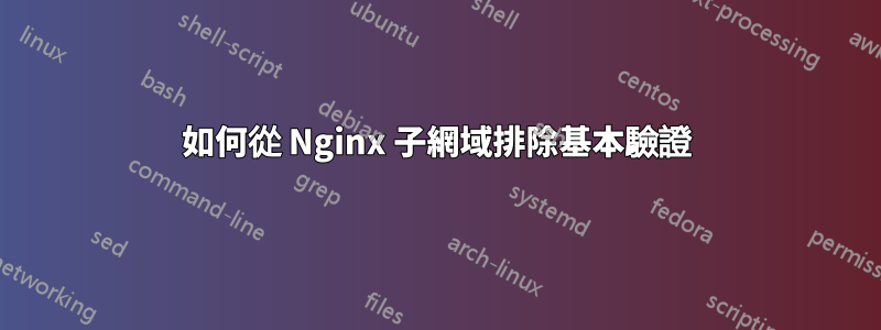 如何從 Nginx 子網域排除基本驗證