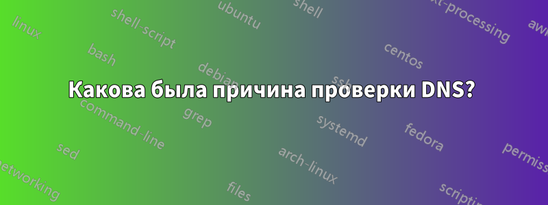 Какова была причина проверки DNS?