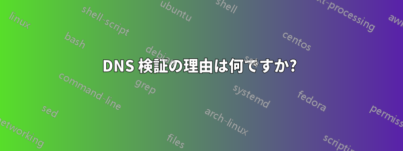 DNS 検証の理由は何ですか?
