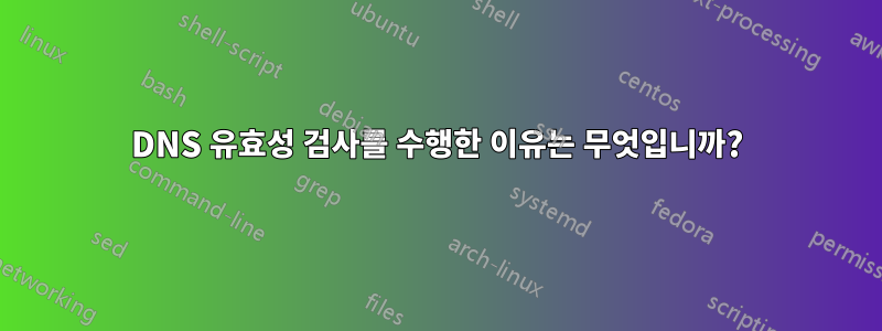 DNS 유효성 검사를 수행한 이유는 무엇입니까?