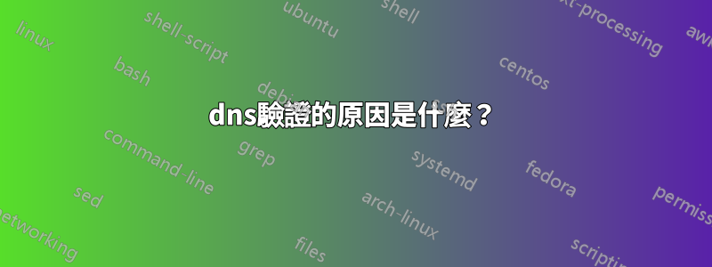 dns驗證的原因是什麼？