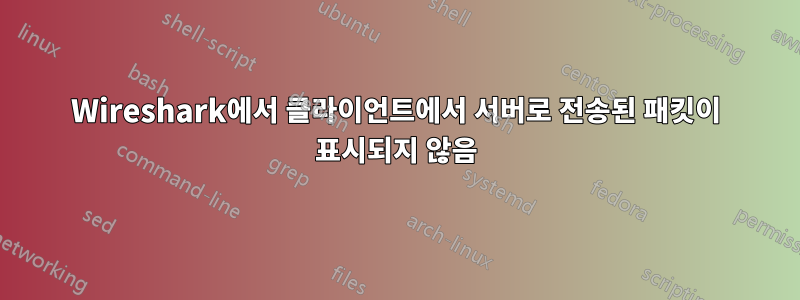 Wireshark에서 클라이언트에서 서버로 전송된 패킷이 표시되지 않음