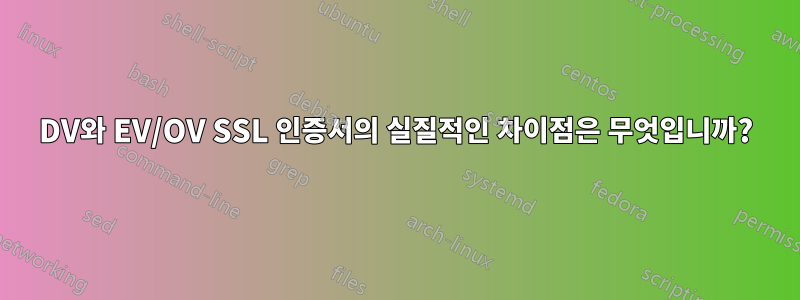 DV와 EV/OV SSL 인증서의 실질적인 차이점은 무엇입니까?