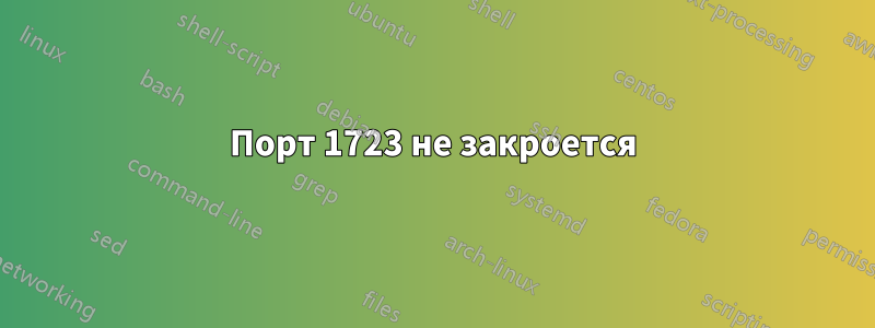 Порт 1723 не закроется