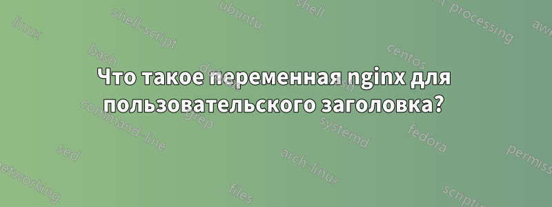 Что такое переменная nginx для пользовательского заголовка?