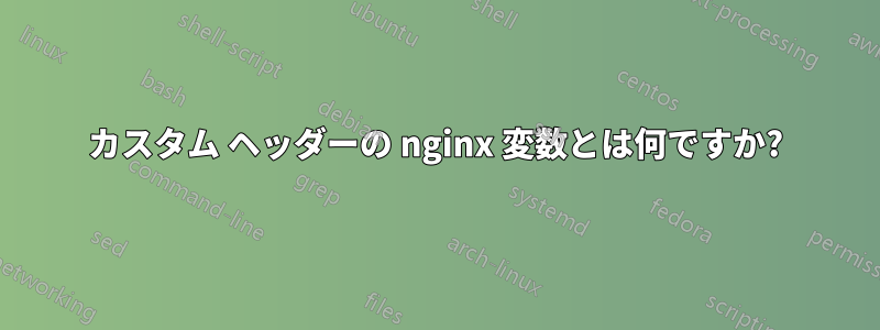 カスタム ヘッダーの nginx 変数とは何ですか?