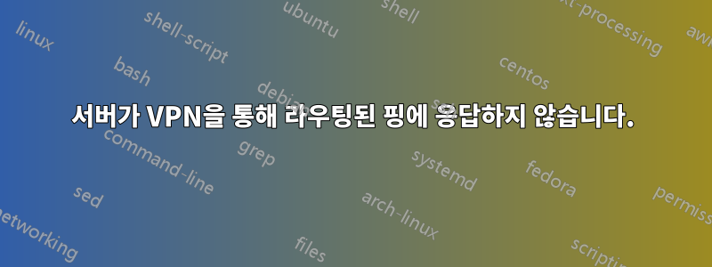 서버가 VPN을 통해 라우팅된 핑에 응답하지 않습니다.