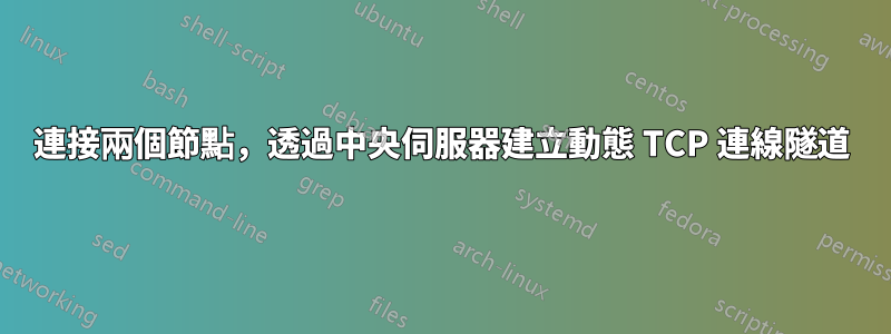 連接兩個節點，透過中央伺服器建立動態 TCP 連線隧道