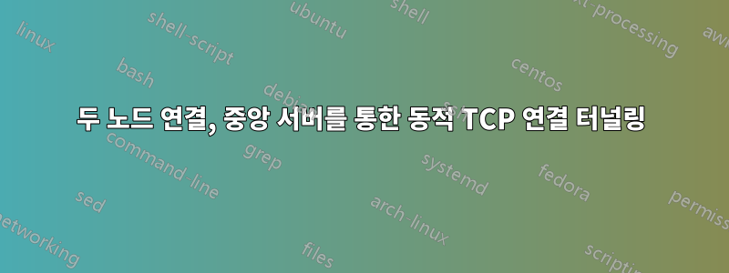 두 노드 연결, 중앙 서버를 통한 동적 TCP 연결 터널링