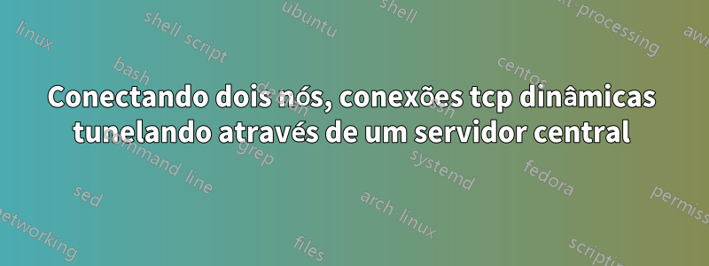 Conectando dois nós, conexões tcp dinâmicas tunelando através de um servidor central