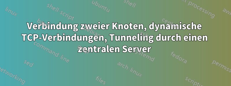 Verbindung zweier Knoten, dynamische TCP-Verbindungen, Tunneling durch einen zentralen Server