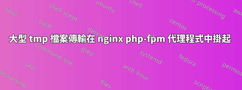 大型 tmp 檔案傳輸在 nginx php-fpm 代理程式中掛起
