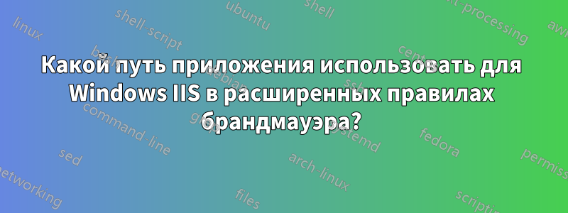 Какой путь приложения использовать для Windows IIS в расширенных правилах брандмауэра?