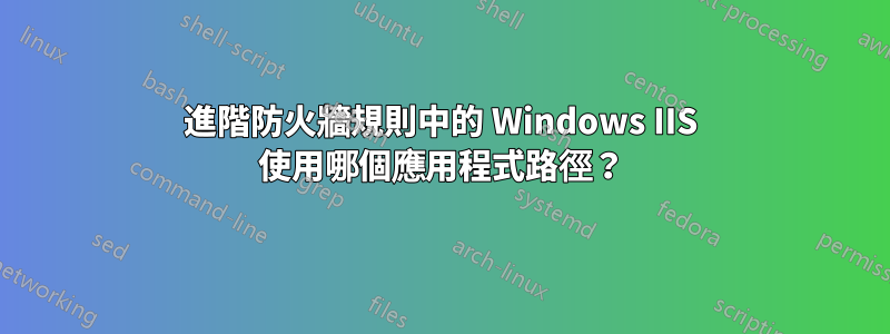 進階防火牆規則中的 Windows IIS 使用哪個應用程式路徑?