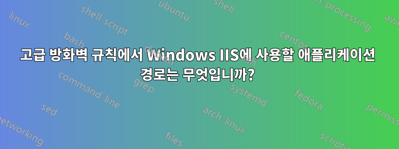 고급 방화벽 규칙에서 Windows IIS에 사용할 애플리케이션 경로는 무엇입니까?