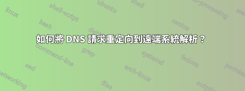 如何將 DNS 請求重定向到遠端系統解析？