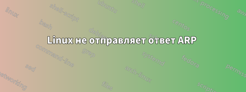 Linux не отправляет ответ ARP