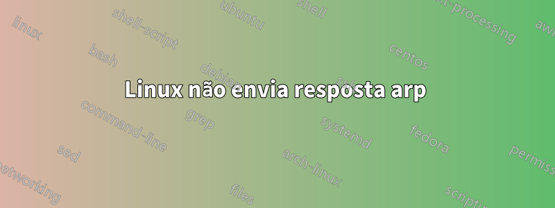 Linux não envia resposta arp