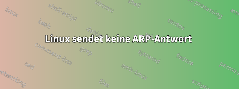 Linux sendet keine ARP-Antwort