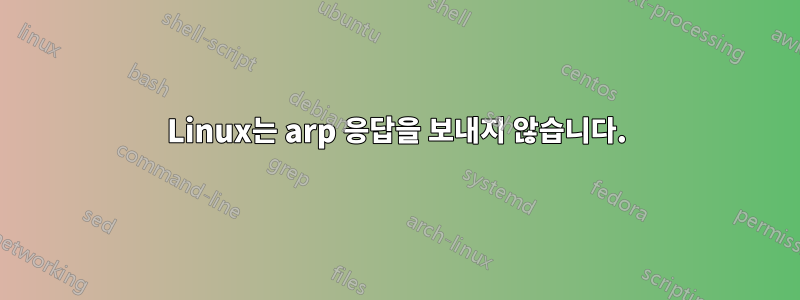 Linux는 arp 응답을 보내지 않습니다.