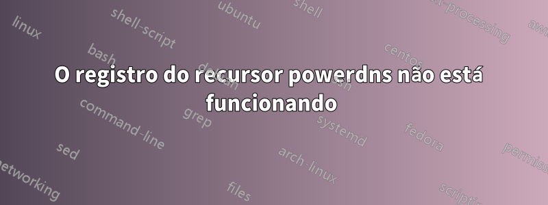 O registro do recursor powerdns não está funcionando