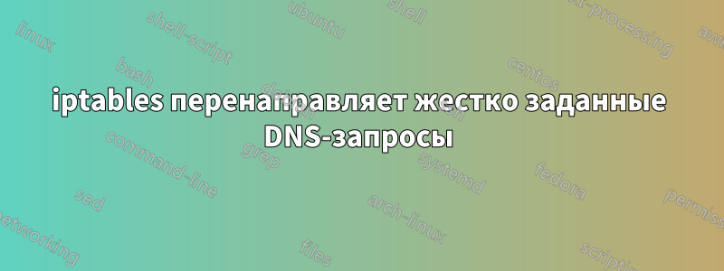 iptables перенаправляет жестко заданные DNS-запросы