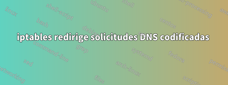 iptables redirige solicitudes DNS codificadas