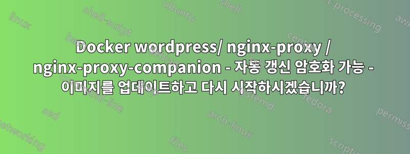 Docker wordpress/ nginx-proxy / nginx-proxy-companion - 자동 갱신 암호화 가능 - 이미지를 업데이트하고 다시 시작하시겠습니까?