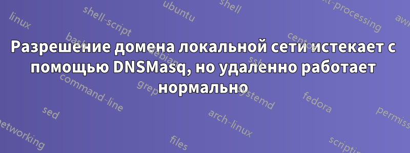 Разрешение домена локальной сети истекает с помощью DNSMasq, но удаленно работает нормально