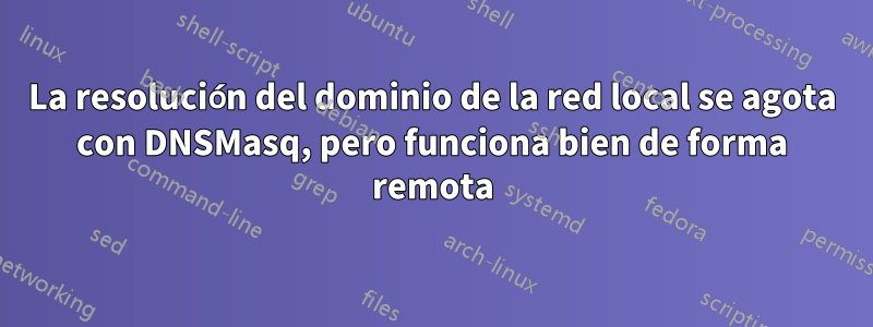 La resolución del dominio de la red local se agota con DNSMasq, pero funciona bien de forma remota