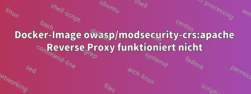 Docker-Image owasp/modsecurity-crs:apache Reverse Proxy funktioniert nicht