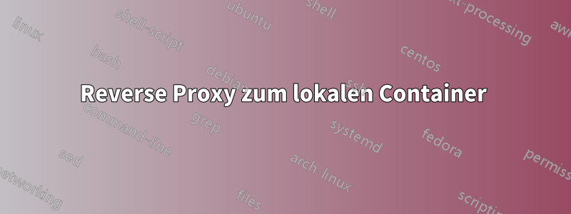 Reverse Proxy zum lokalen Container