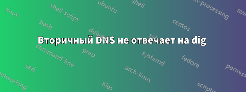 Вторичный DNS не отвечает на dig