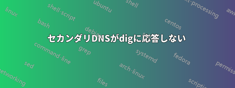 セカンダリDNSがdigに応答しない