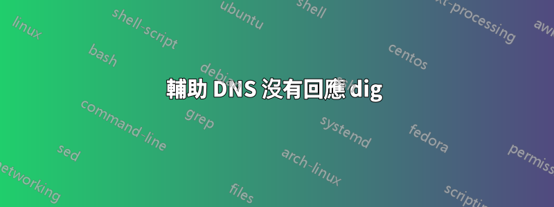 輔助 DNS 沒有回應 dig