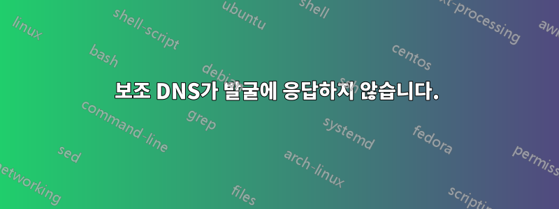 보조 DNS가 발굴에 응답하지 않습니다.