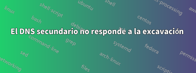 El DNS secundario no responde a la excavación