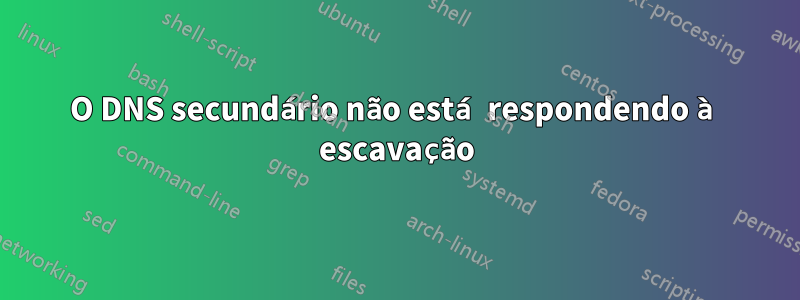 O DNS secundário não está respondendo à escavação