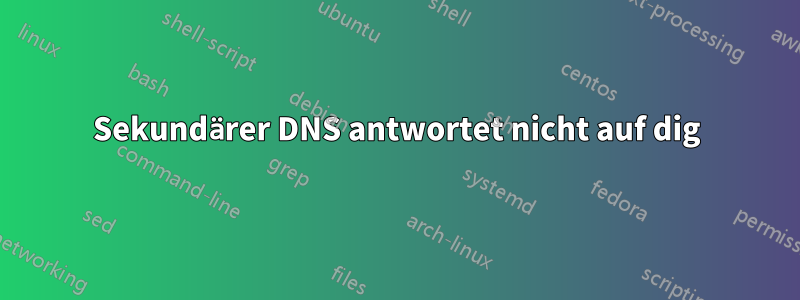 Sekundärer DNS antwortet nicht auf dig