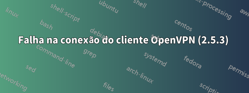 Falha na conexão do cliente OpenVPN (2.5.3)