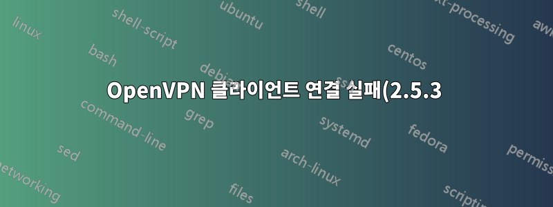 OpenVPN 클라이언트 연결 실패(2.5.3)