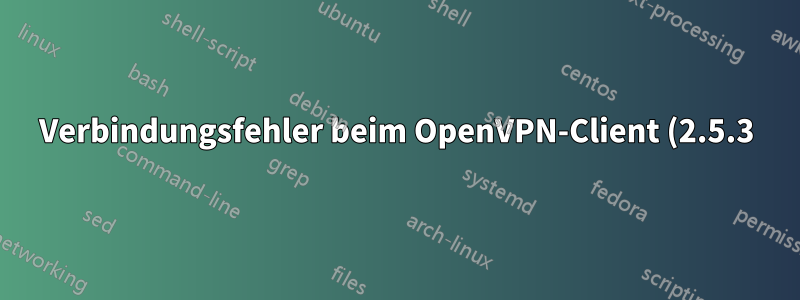 Verbindungsfehler beim OpenVPN-Client (2.5.3)