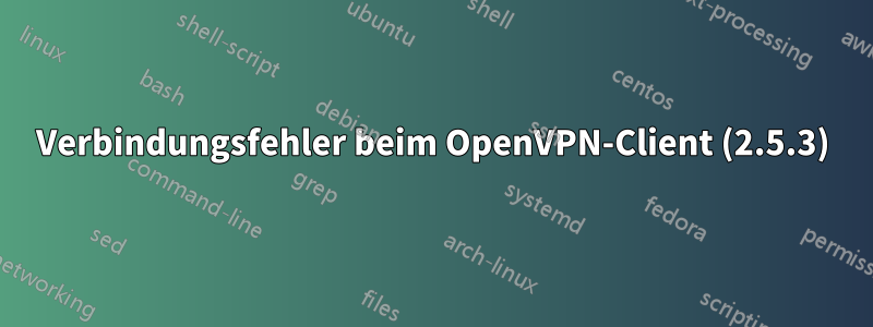 Verbindungsfehler beim OpenVPN-Client (2.5.3)